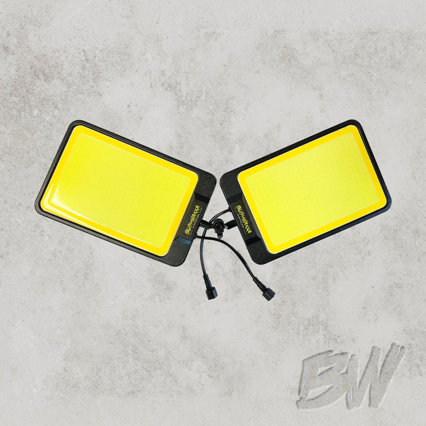 Camp Light
