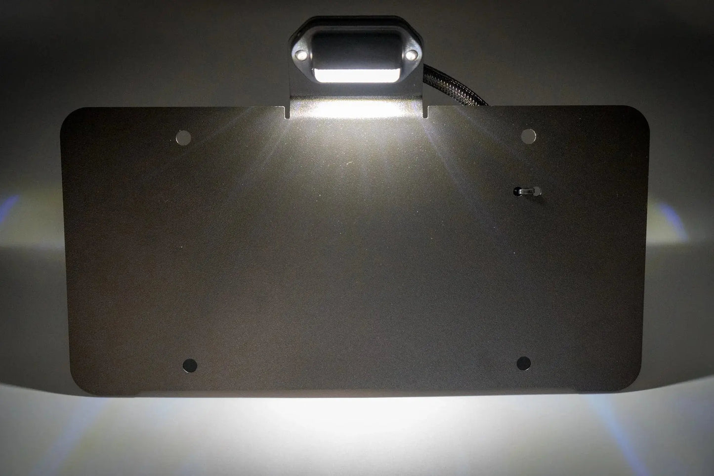 RiGd Supply - License Plate Light Kit RIG'D SUPPLY