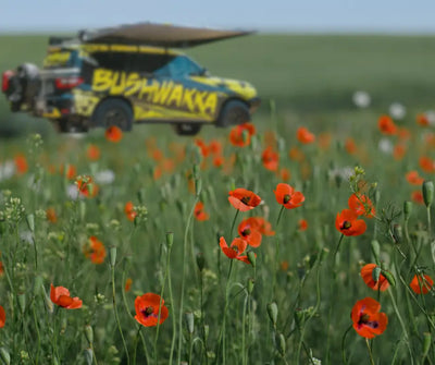 ANZAC Day Tributes at Historic Campgrounds Bushwakka Adventure Gear