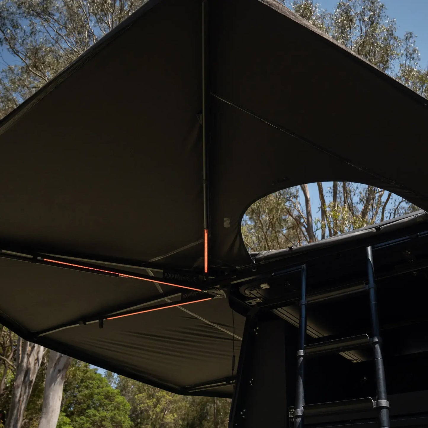 Darkness Pro with D-Zip