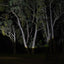 Outdoor Torch LED Flashlight