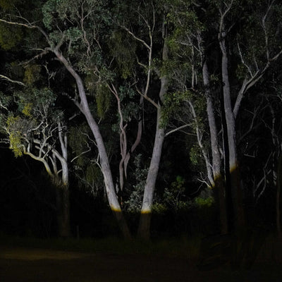 Outdoor Torch LED Flashlight