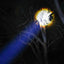 Outdoor Torch LED Flashlight