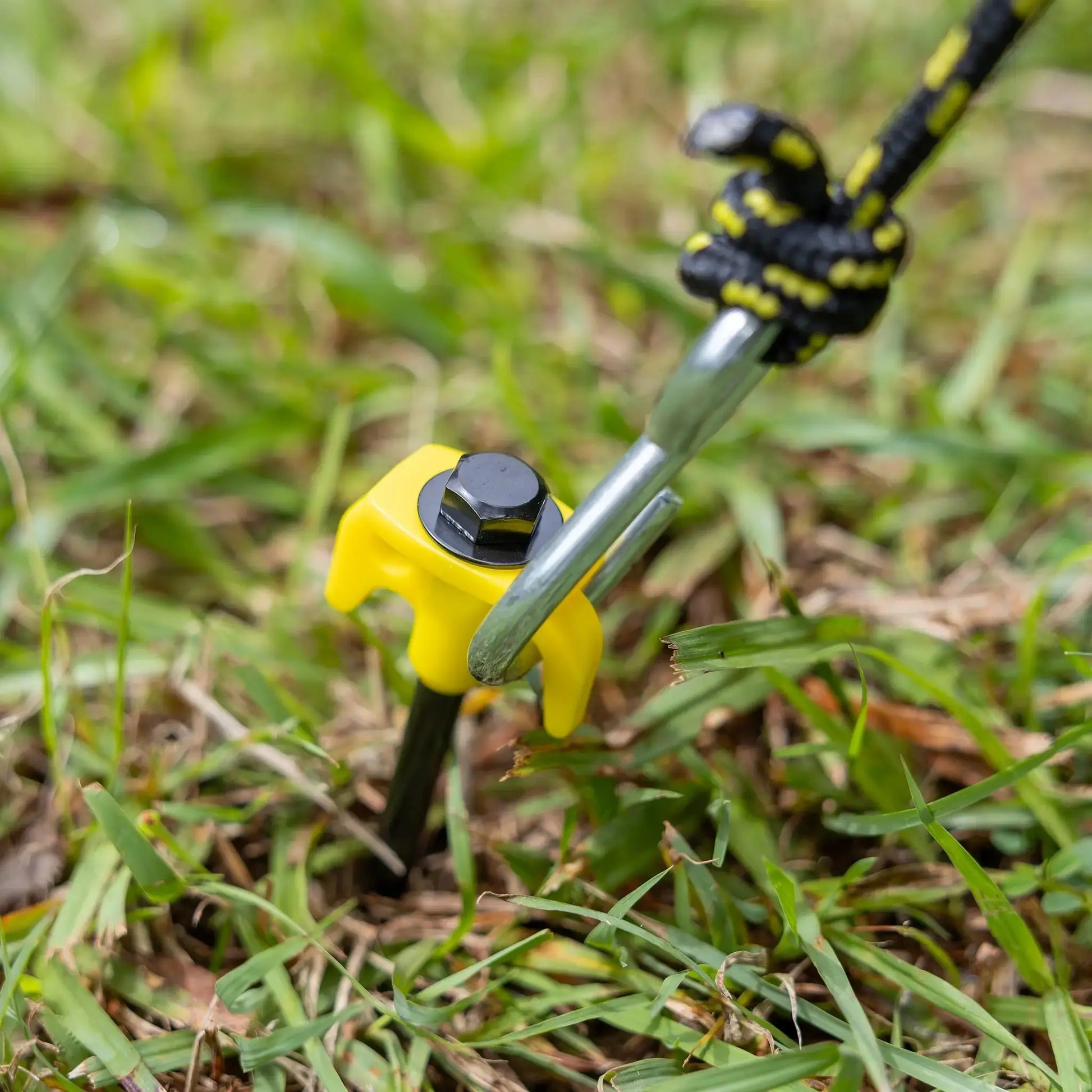 Screw You Spiral Ground Stake Pegs (12 Pack) BUSHWAKKA ADVENTURE GEAR
