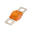 Roam Gear 30A Midi Fuse