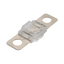 Roam Gear 80A Midi Fuse